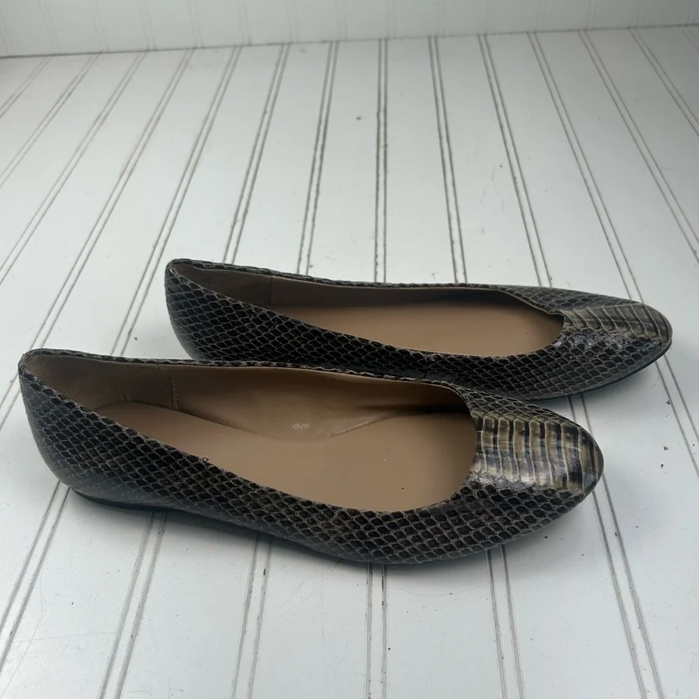 Ann Taylor ann taylor